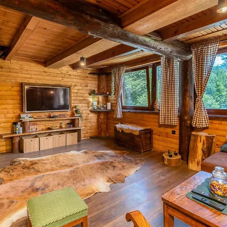 Pet Friendly In Plesce