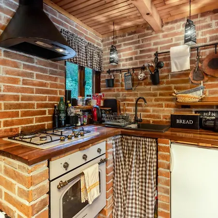 Pet Friendly In Plesce Semesterbostad