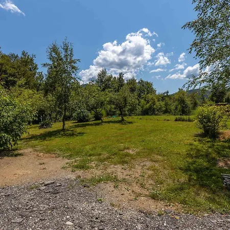 Pet Friendly In Plesce *