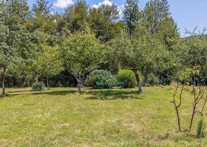 Pet Friendly In Plesce Osilnica