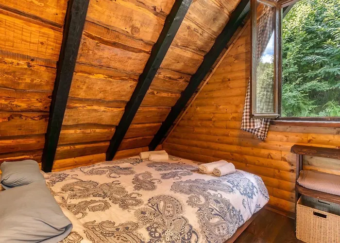 Pet Friendly In Plesce Prázdninový dům Osilnica